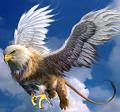 Wild_Griffin
